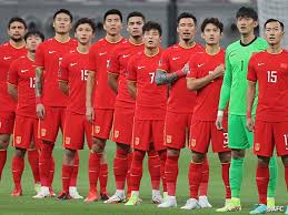 国际经验的